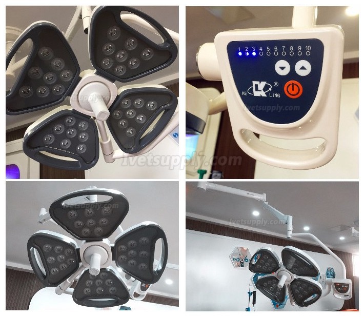 KL KL-LED-MSZ4 Veterinary LED Cold Source Shadowless Operation Light Surgical Lamp(AC/DC)